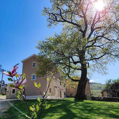 Villa Casa Quieto Motovun Esterno foto