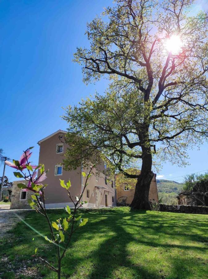 Villa Casa Quieto Motovun Esterno foto